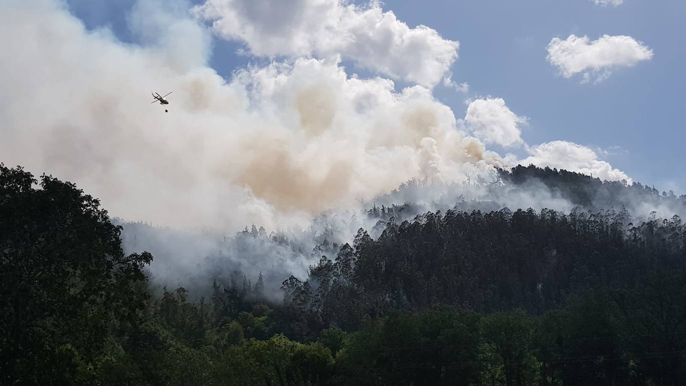 Bomberos de varios parques, la Brif y tres helicópteros trabajan en la extinción del fuego que se originó en torno a las 3 horas
