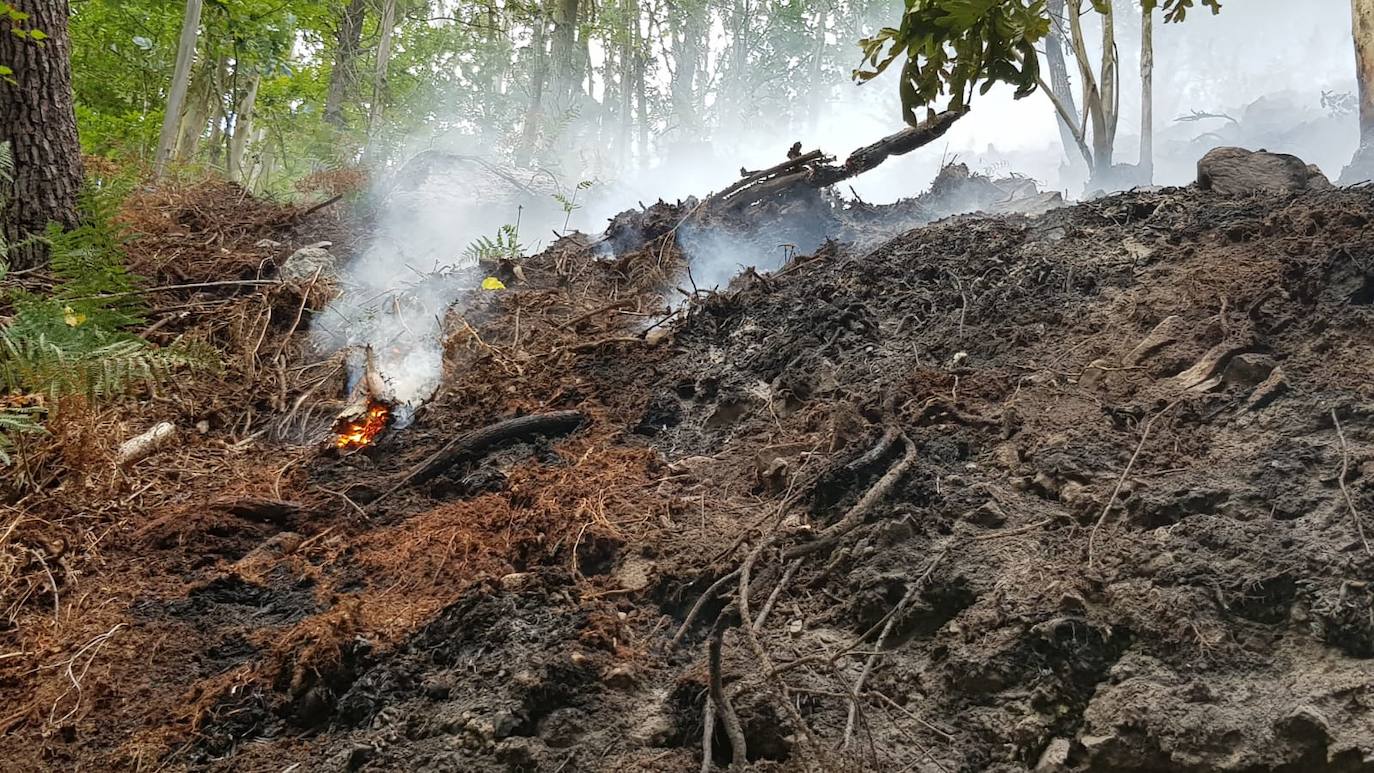 Bomberos de varios parques, la Brif y tres helicópteros trabajan en la extinción del fuego que se originó en torno a las 3 horas