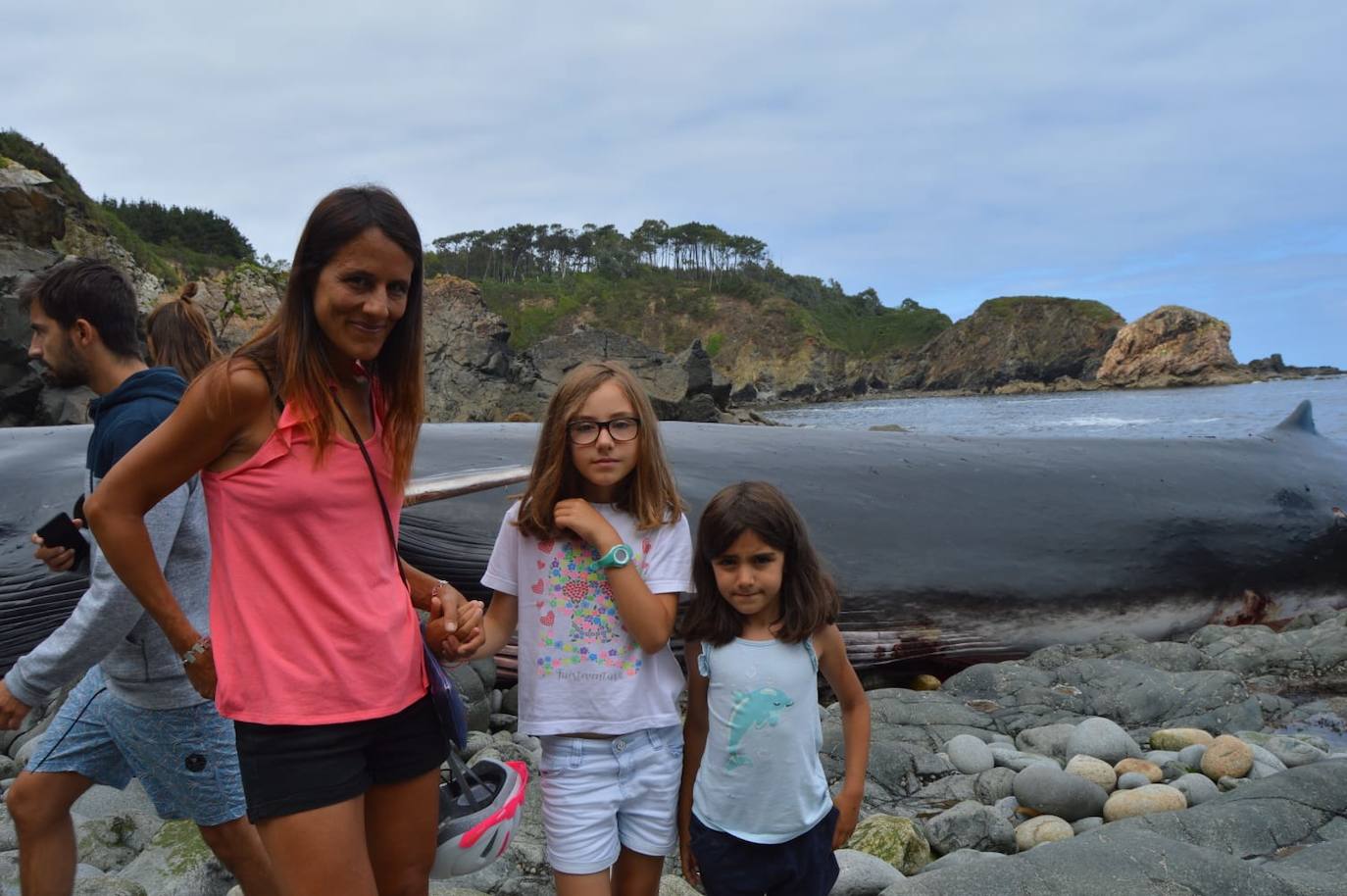 El cetáceo apareció varado al este de la cala del Figo, muy cerca de la parroquia de Salave. Aunque llegó viva a la costa asturiana, acabó falleciendo. Su cuerpo será trasladado a a las instalaciones de Cogersa, donde se le practicará una necropsia con la que esclarecer las causas de su fallecimiento.