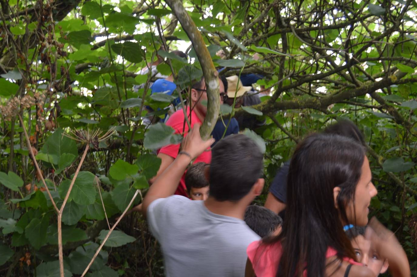 El cetáceo apareció varado al este de la cala del Figo, muy cerca de la parroquia de Salave. Aunque llegó viva a la costa asturiana, acabó falleciendo. Su cuerpo será trasladado a a las instalaciones de Cogersa, donde se le practicará una necropsia con la que esclarecer las causas de su fallecimiento.
