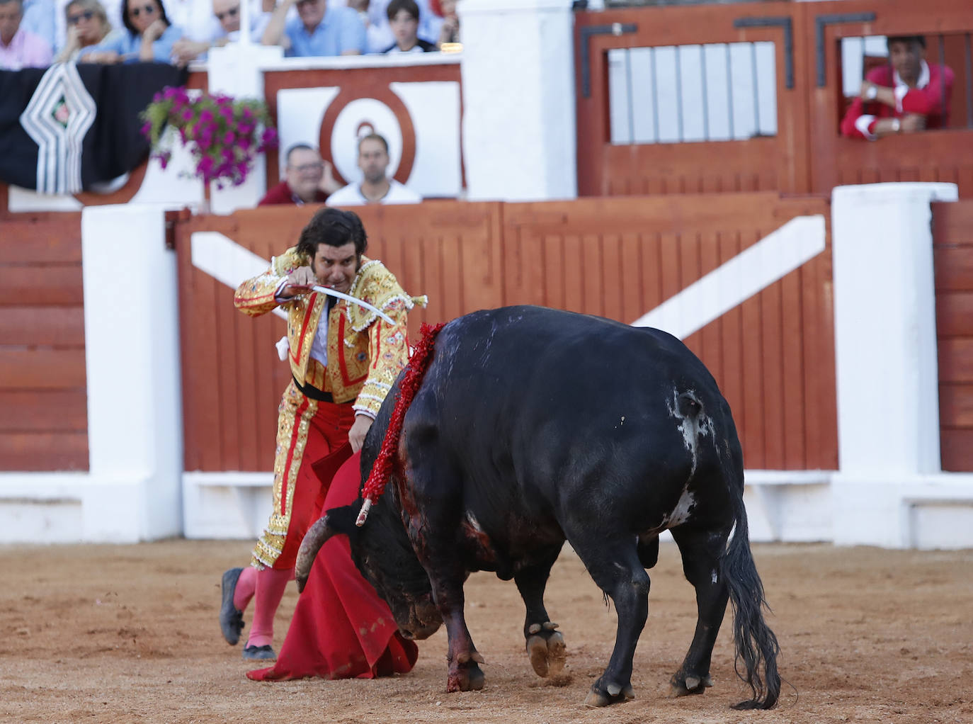 Los diestros José Antonio «Morante de la Puebla» esculpió hoy en Gijón una auténtica obra de arte a su segundo toro, al que cortó las dos orejas, y salió a hombros junto a Julián López «El Juli», al que regalaron otras dos del quinto, en una tarde en la que Aguado se cerró la Puerta Grande con la espada. 