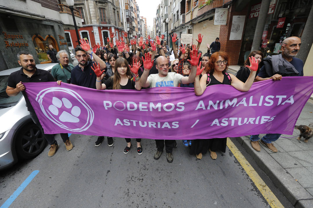 Las calles de la ciudad se llenaron de pancartas para protestar por los festejos taurinos que consideran una «tortura a los animales»