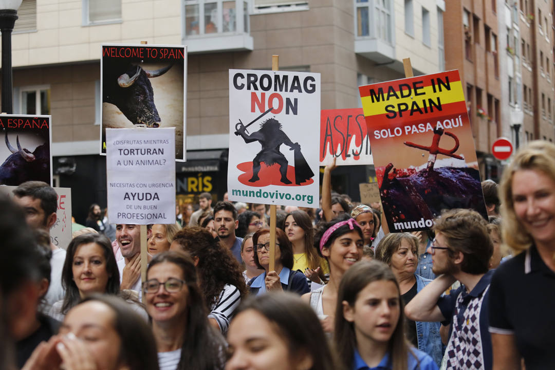 Las calles de la ciudad se llenaron de pancartas para protestar por los festejos taurinos que consideran una «tortura a los animales»