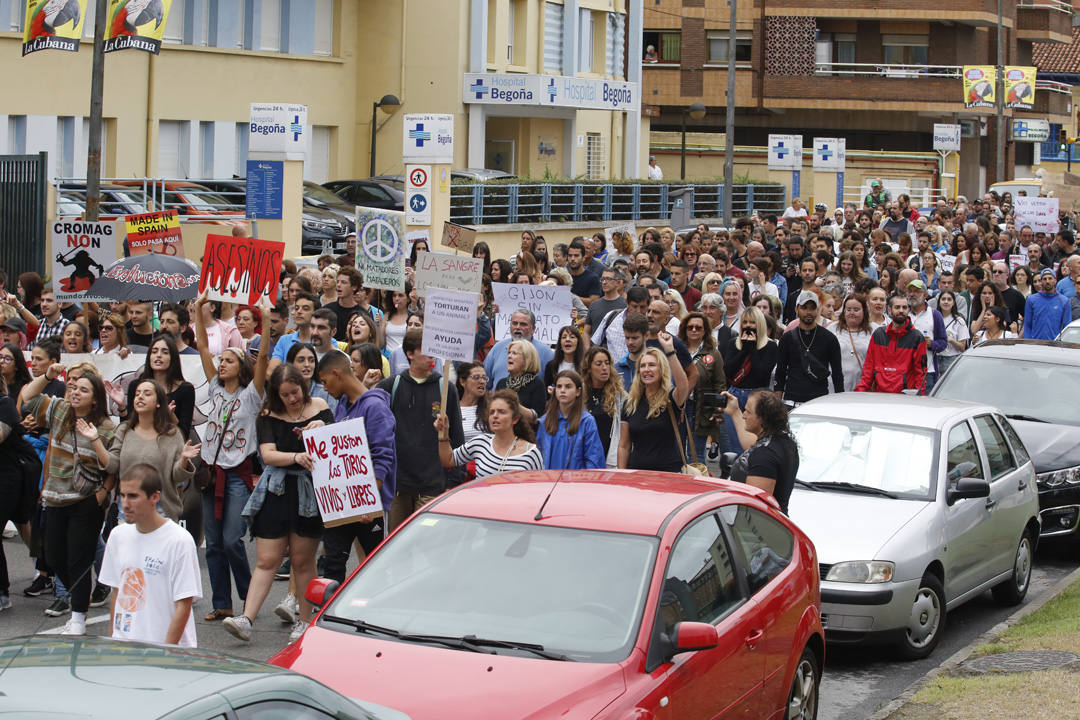 Las calles de la ciudad se llenaron de pancartas para protestar por los festejos taurinos que consideran una «tortura a los animales»