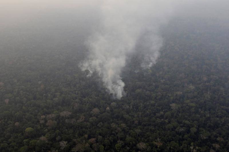 Fotos: Las impresionantes imágenes que deja el Amazonas en llamas