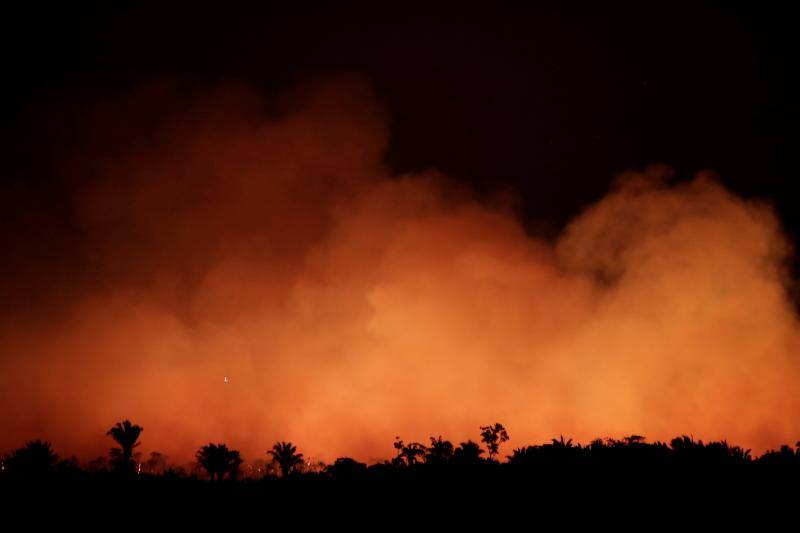 Fotos: Las impresionantes imágenes que deja el Amazonas en llamas