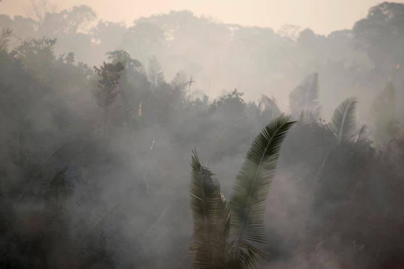 Fotos: Las impresionantes imágenes que deja el Amazonas en llamas