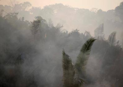 Imagen secundaria 1 - 40.000 focos de fuego permanecen activos en la selva del Amazonas. 