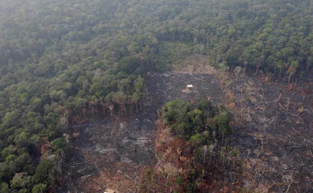 Vista aérea de la selva del Amazonas cerca de la zona de Humaita, en Brasil. 