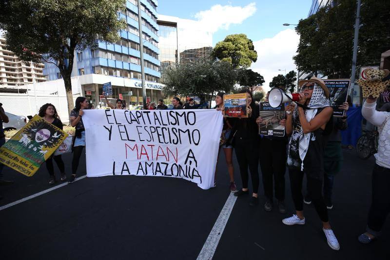 Distintas ciudades del mundo acogieron este viernes concentraciones en señal de protesta por las malas políticas del gobierno brasileño en cuanto a la gestión de los incendios del Amazonas.