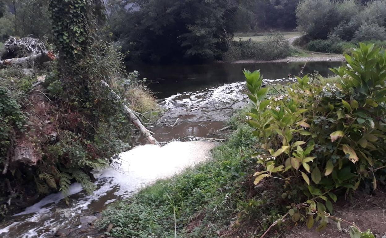 El río Eo, tras el vertido de los purines. 