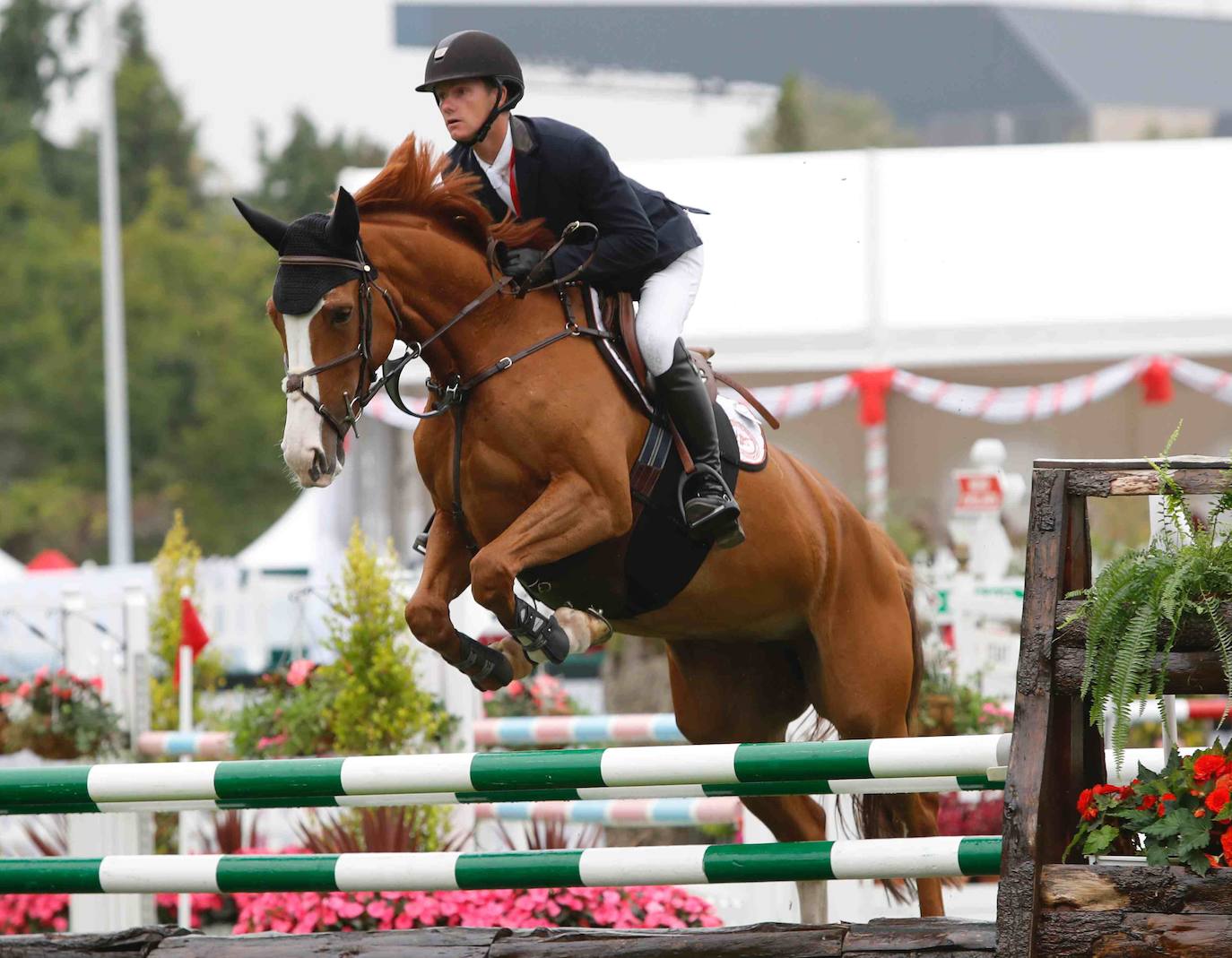 Fotos: Victoria de Jodie Hall en el estreno del Hípico de Gijón