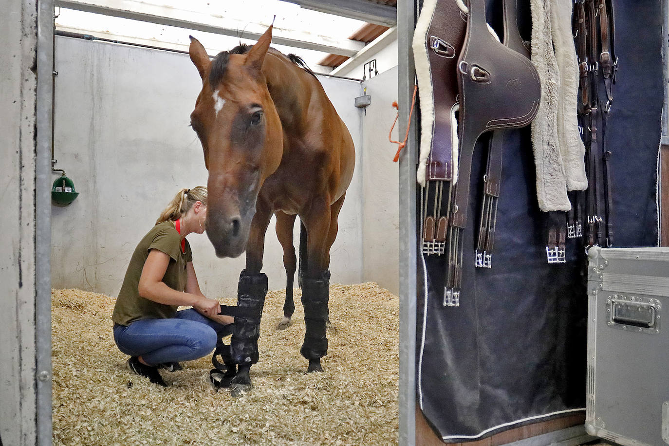 Fotos: El trabajo que no se ve en el Hípico de Gijón