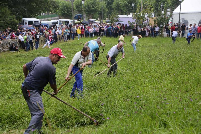 Cientos de personas disfrutaron en Benia de Onís de los concursos de siega, cabruñu y sábanu, así como la carrera en madreñes, en la Fiesta del Segador. 