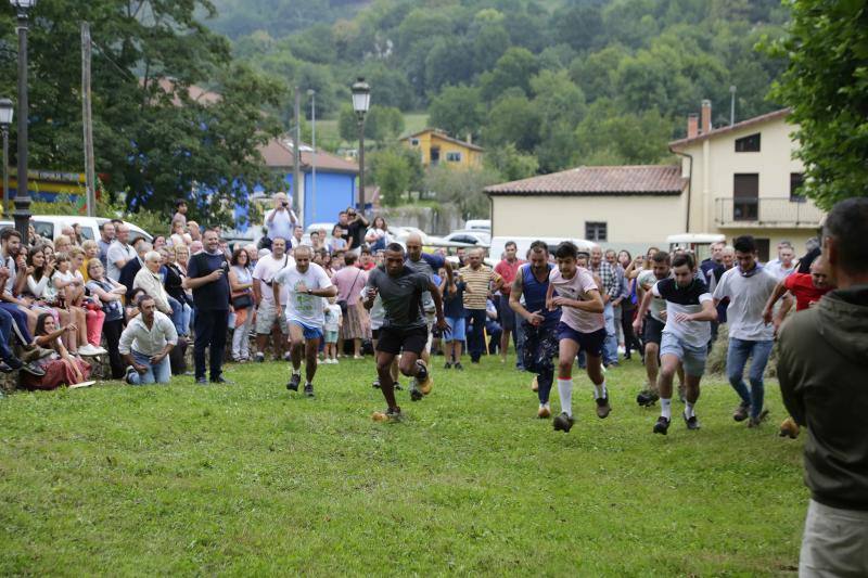 Cientos de personas disfrutaron en Benia de Onís de los concursos de siega, cabruñu y sábanu, así como la carrera en madreñes, en la Fiesta del Segador. 