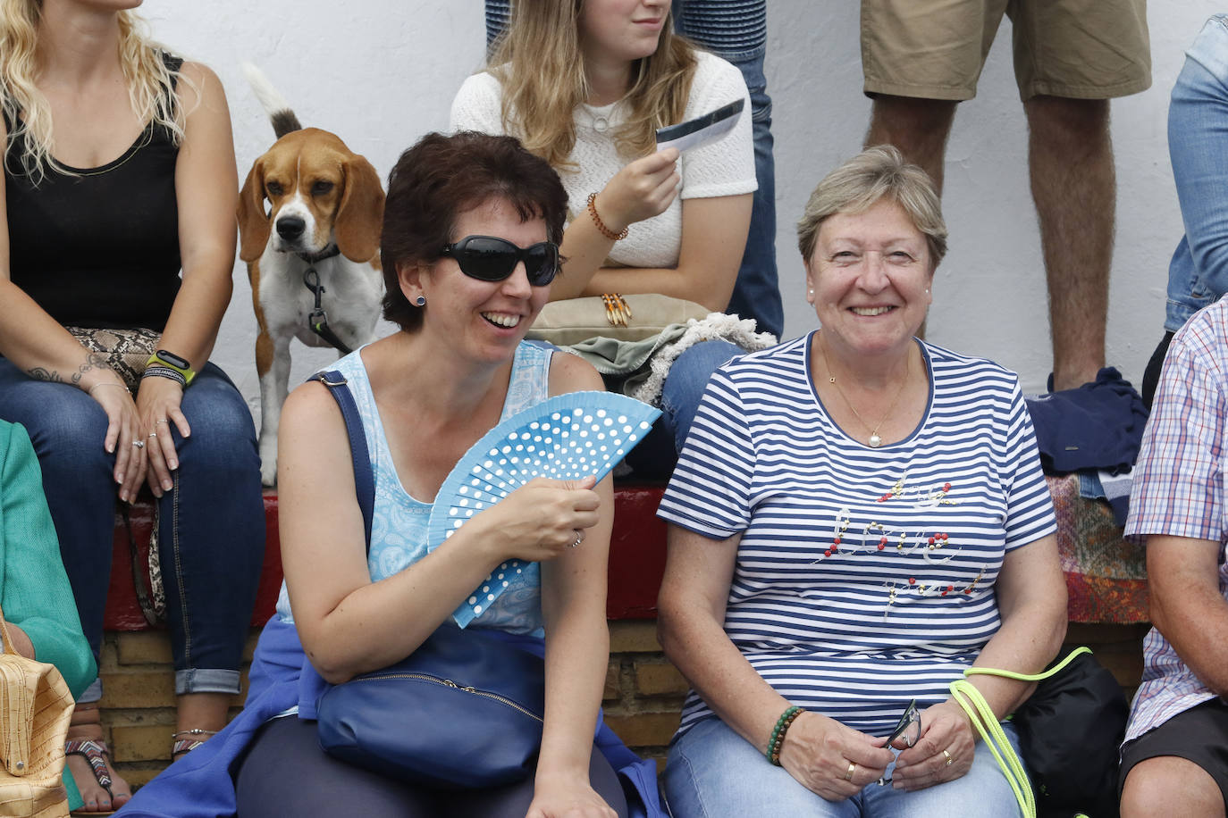El hipódromo de Las Mestas acogió este sábado las pruebas del CSIO Gijón 2019.