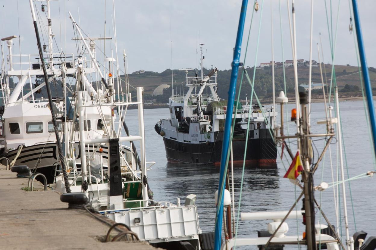 Barcos pesqueros atracados en el muelle de Avilés. 