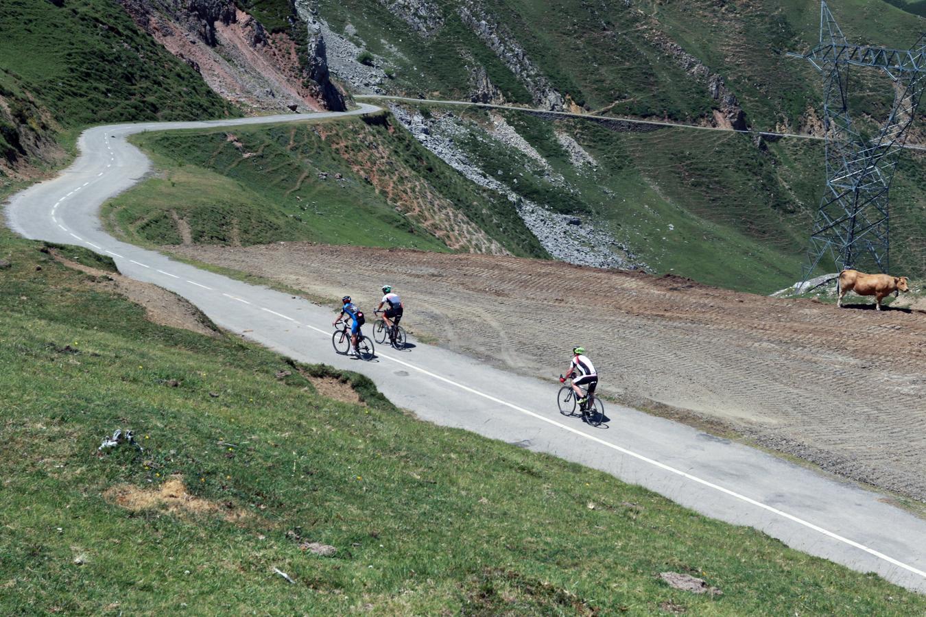 El coloso del Alto de la Cubilla (Cat:Esp; 1683m) será el último puerto asturiano de La Vuelta España en Asturias. Un puerto inédito de 30 kilómetros. 