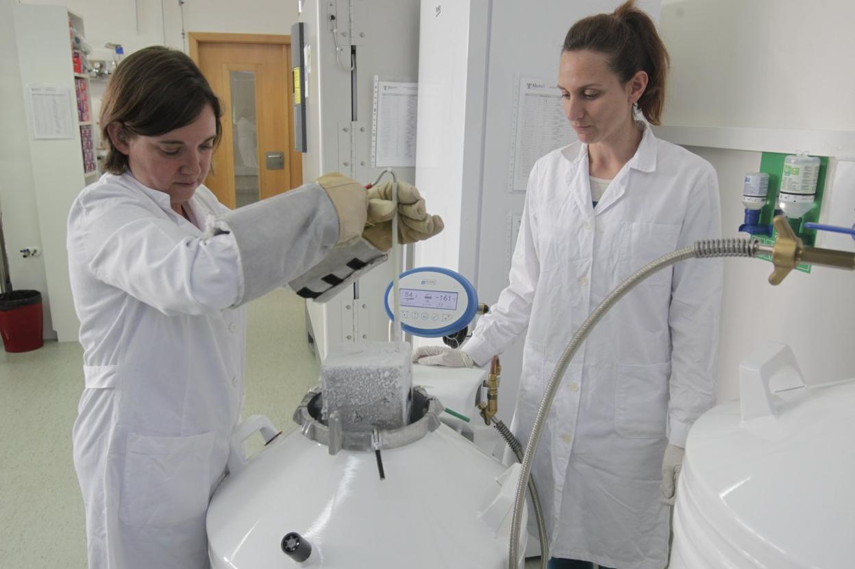 Noelia Martínez y Denisse Barrientos extraen del tanque de nitrógeno el contenedor donde se almacenan las muestras. 