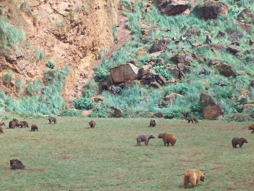 El parque de Cabárceno, en Cantabria, alberga más de un centenar de especies en régimen de semilibertad.