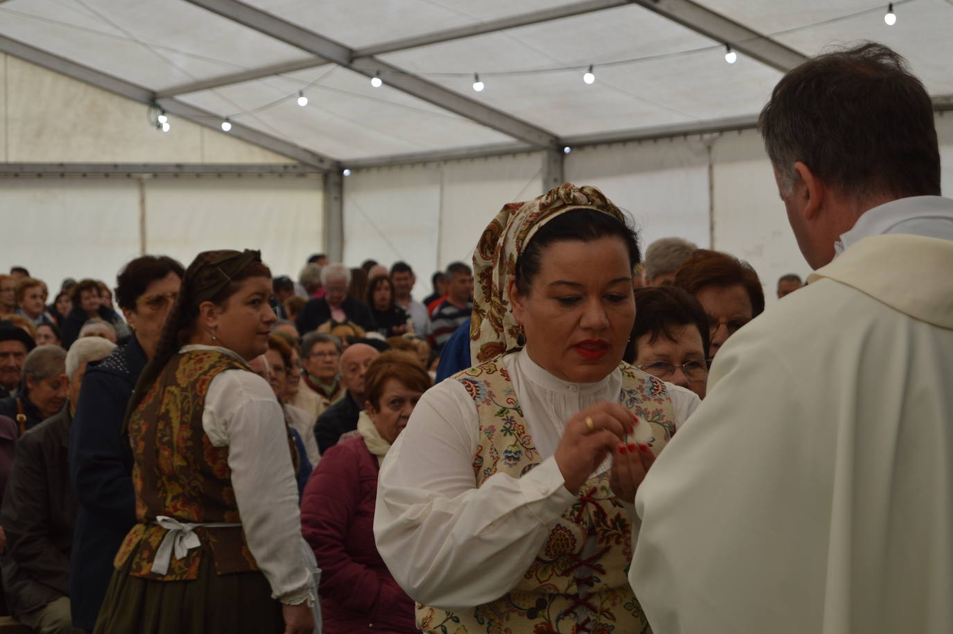 La fiesta de la trashumancia llena el alto de la Casa del Puerto, en Tineo, para recordar el pasado vaqueiro del concejo. Fue Danessa García, la Reina del festejo, quien encabezó la comitiva que partiió desde la braña de Las Tabiernas, seguida de los bueyes y los enseres que acompañaban a los trashumantes en su bajada del monte tras el estío. 