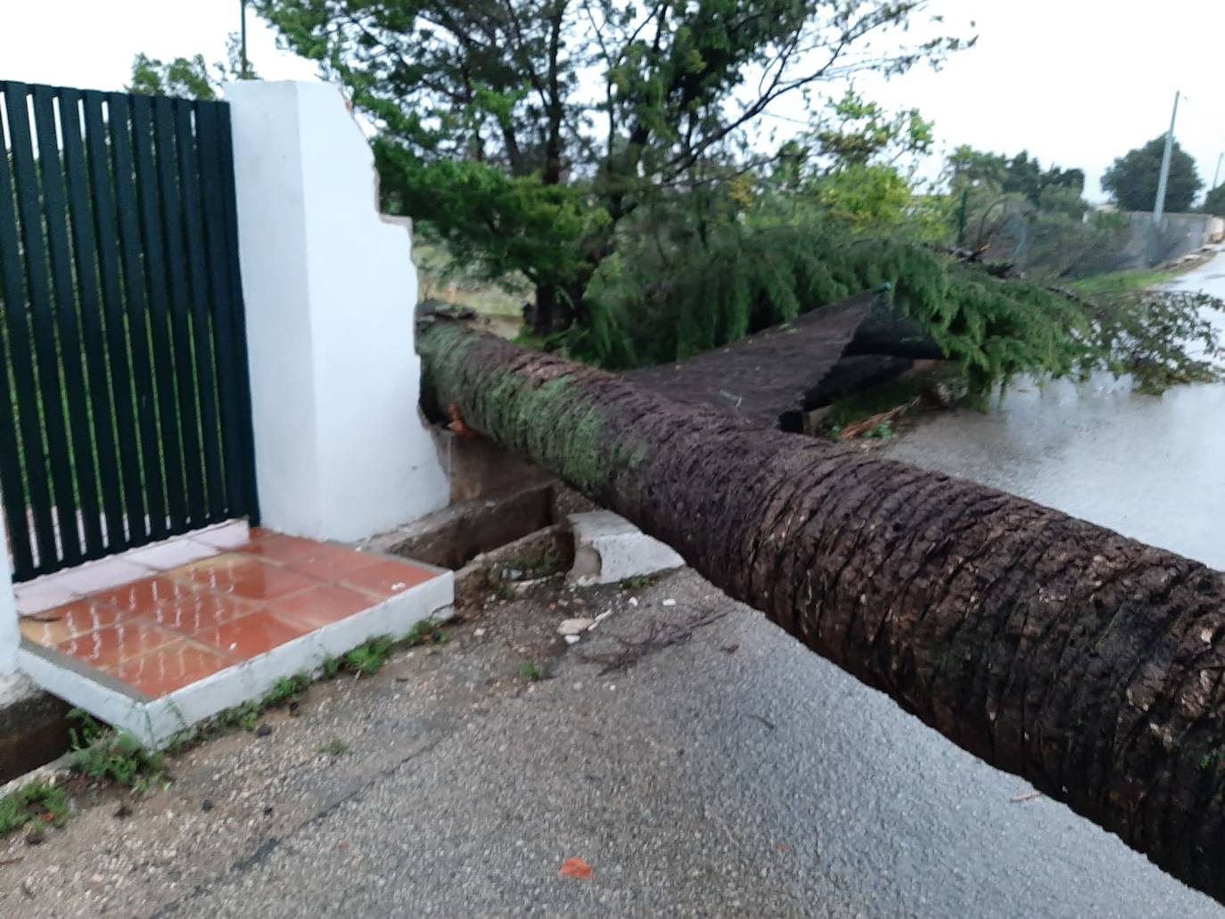 Han evacuado a vecinos de Ontinyent por la crecida del río Clariano y un tornado ha hundido el pabellón municipal de Dénia