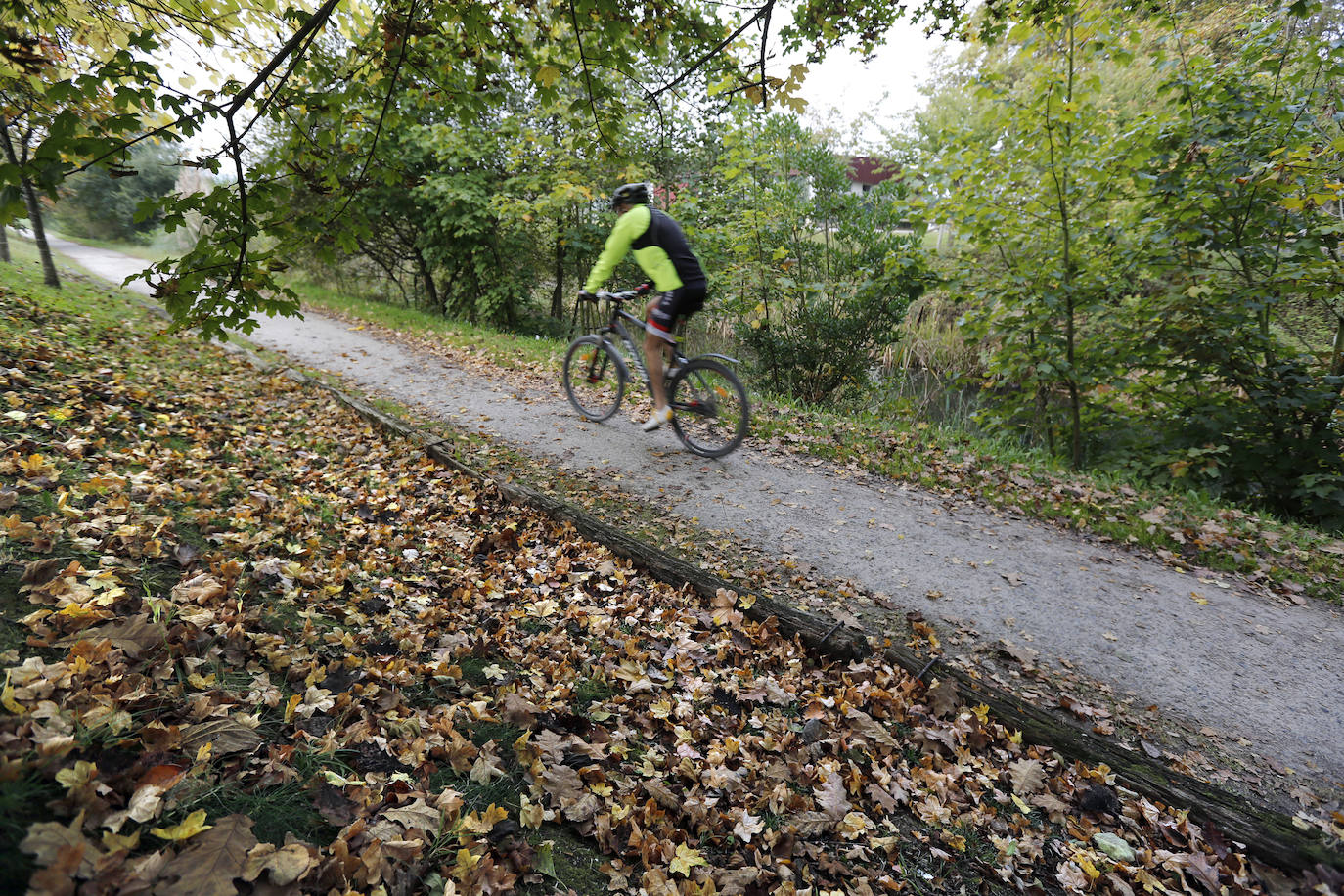 Senda Fluvial del Piles (Gijón)
