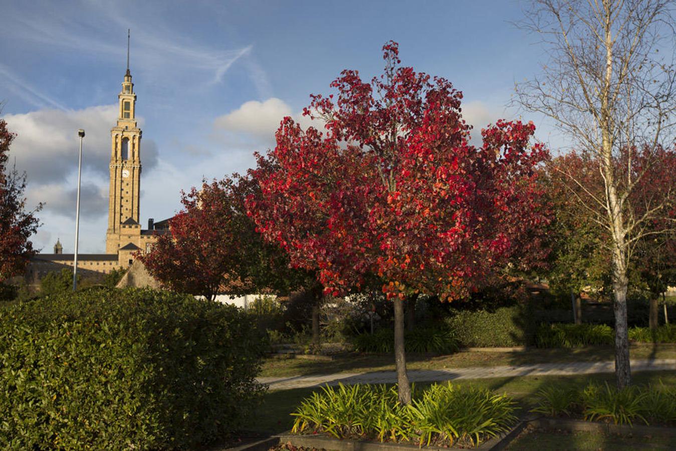 Jardín Botánico Atlántico (Gijón) 