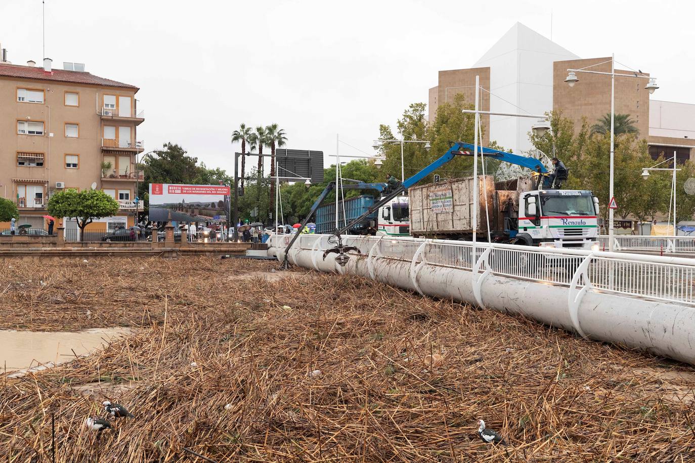 El temporal deja el tercer muerto, desborda el río Segura y azota todo el sureste. En la localidad valenciana de Onteniente, las lluvias por la gota fría ya acumulan más de trescientos litros por metro cuadrado, su máximo de lluvias desde 1917