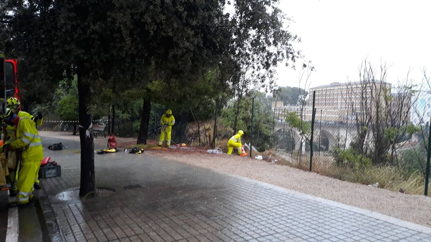 El temporal deja el tercer muerto, desborda el río Segura y azota todo el sureste. En la localidad valenciana de Onteniente, las lluvias por la gota fría ya acumulan más de trescientos litros por metro cuadrado, su máximo de lluvias desde 1917