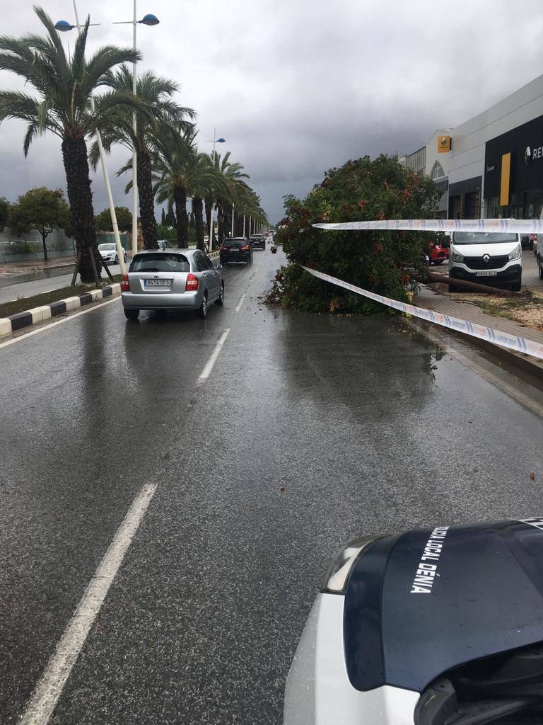 Cuatro fallecidos, centenares de personas evacuadas, decenas de casas y comercios anegados y carreteras cortadas. El balance de la gota fría en las comunidades del Levante español es desolador. 