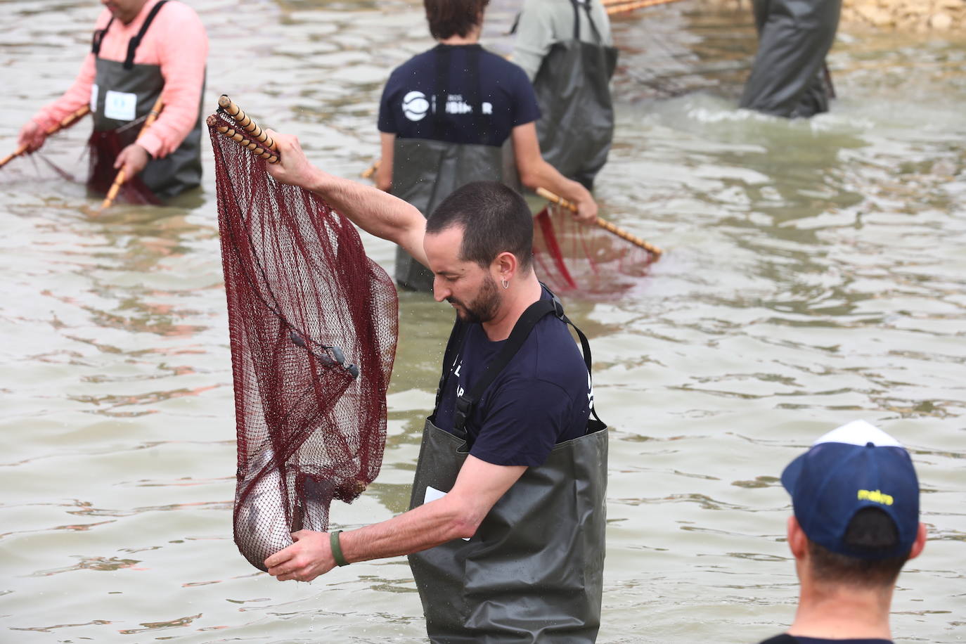 Despesques 2019 ha reunido en los esteros de Lubimar, en Barbate, a más de ochenta cocineros de primer nivel, tanto de España como del extranjero