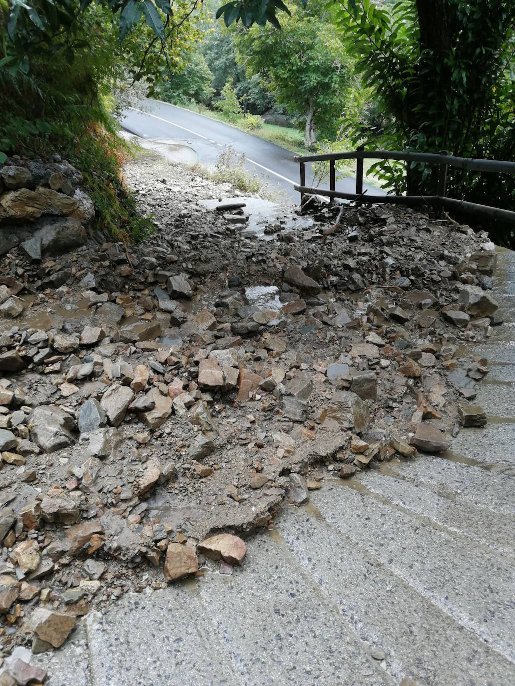 La carrerera AS-15 permanece cortada entre los kilómetros 88 y 90, a la altura de Fondos de Vega, en Degaña, tras producirse cinco argayos como consecuencia de una fuerte tormenta que cayó pasadas las 14 horas