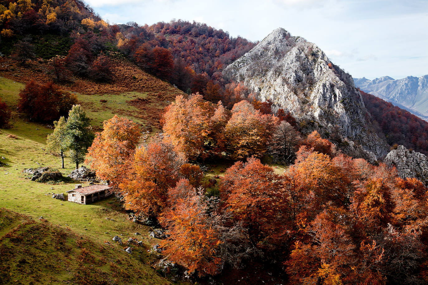 Escenas del Paraíso - Calendario Asturias 2019. Otoño en la majada Recuenco (Parque Natural de Redes)