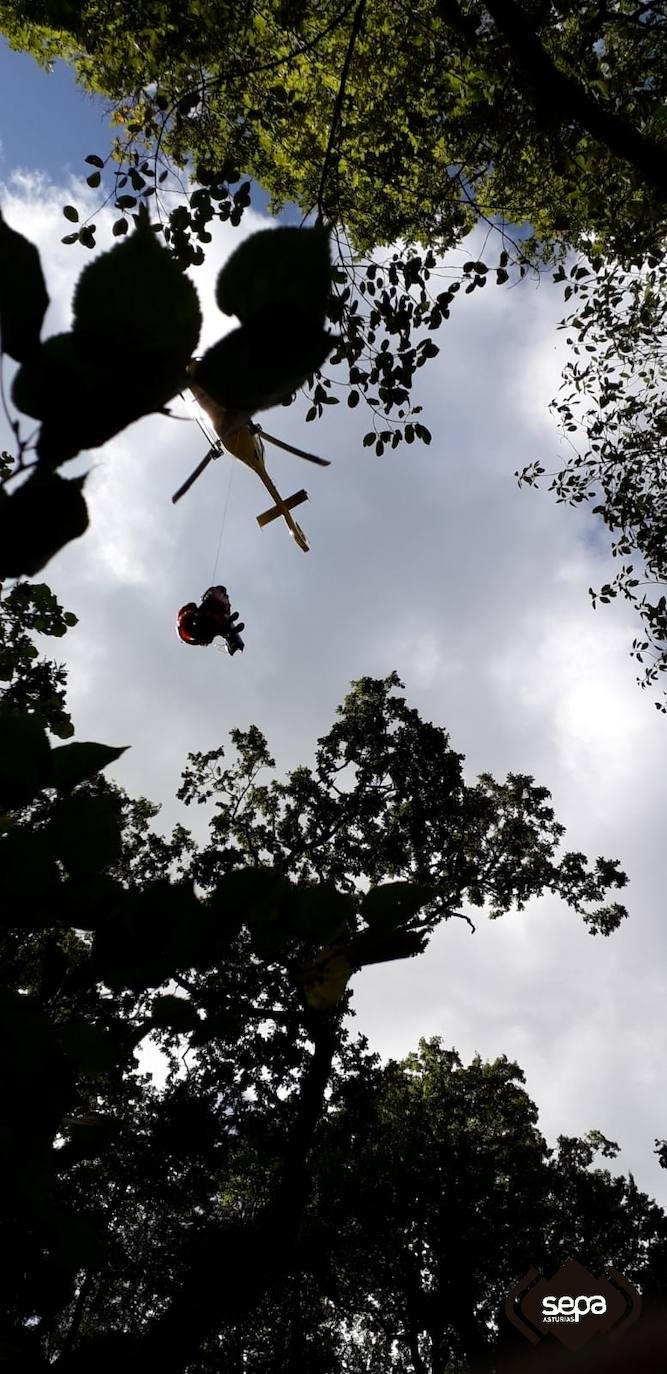 La afectada fue trasladada en helicóptero al Hospital de Arriondas. 