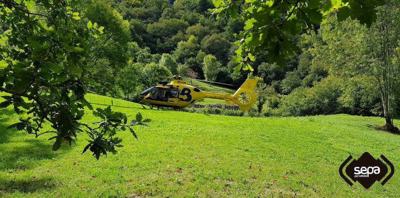 La afectada fue trasladada en helicóptero al Hospital de Arriondas. 