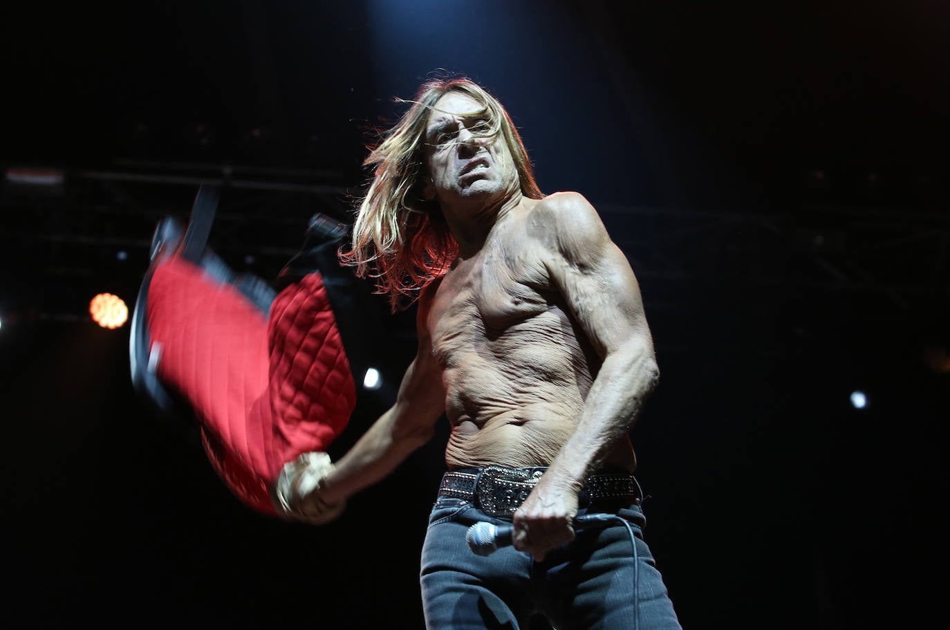 Iggy Pop en 2015.