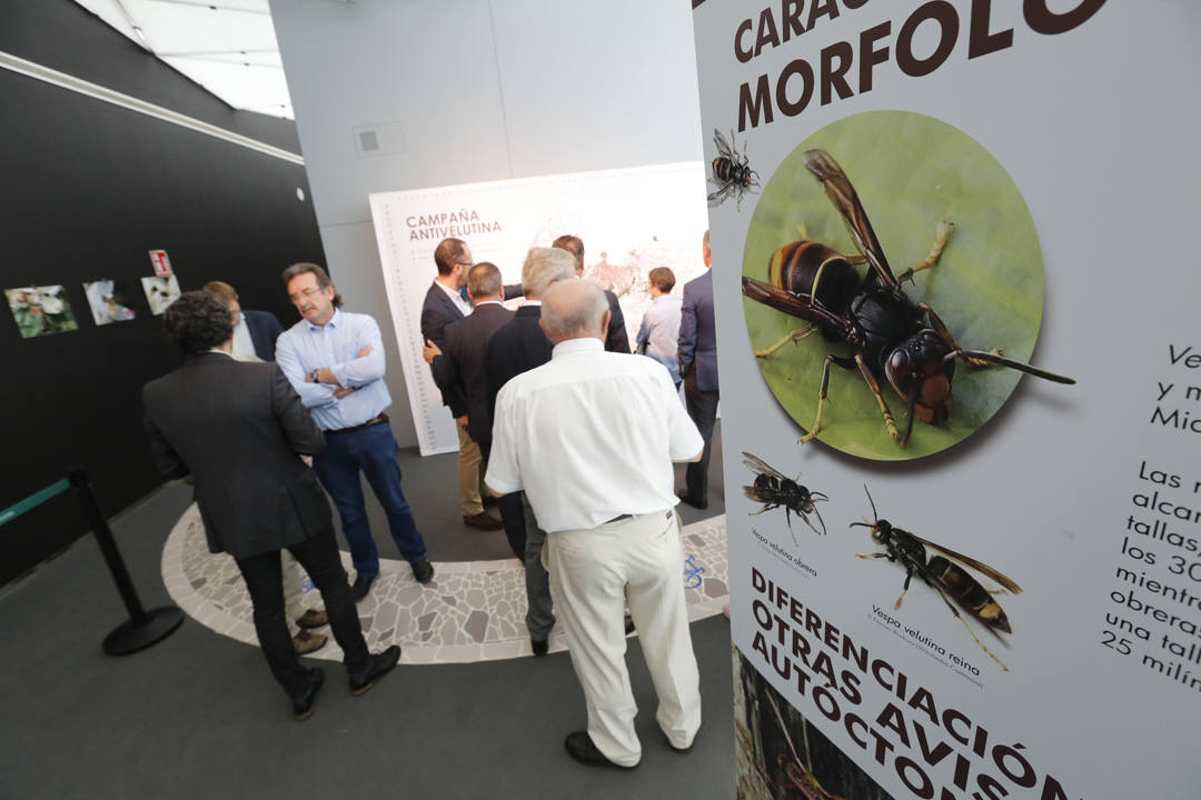 La Feria del Campo y las Industrias Agrícolas, Ganaderas, Forestales y Pesqueras (Agropec) se celebra en el recinto ferial Luis Adaro de Gijón hasta el domingo.