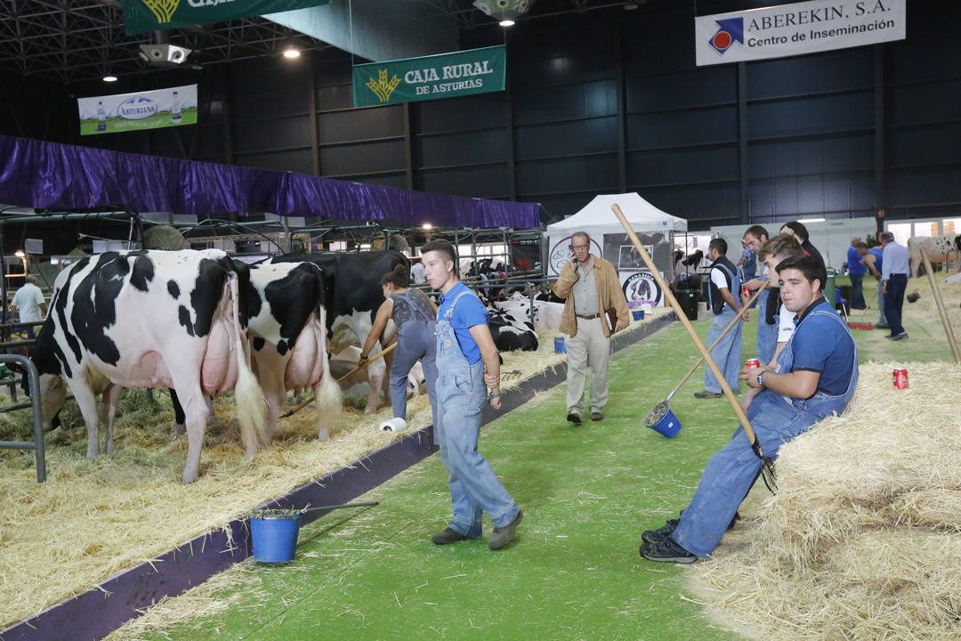 La Feria del Campo y las Industrias Agrícolas, Ganaderas, Forestales y Pesqueras (Agropec) se celebra en el recinto ferial Luis Adaro de Gijón hasta el domingo.