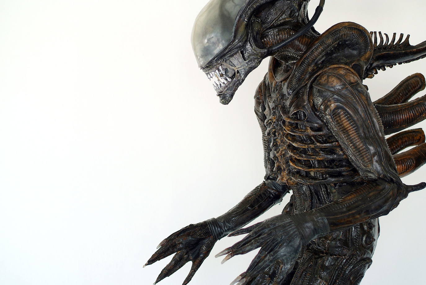 Dirigida por Ridley Scott y estrenada en 1979, Alien, el octavo pasajero se ha convertido, 40 años después en un clásico del cine de terror. La Biblioteca del Congreso de Estados Unidos la incluyó en el Registro Nacional de Cine en 2002 para su preservación histórica y el American Film Institute la eligió como la séptima mejor película en el género de la ciencia ficción.