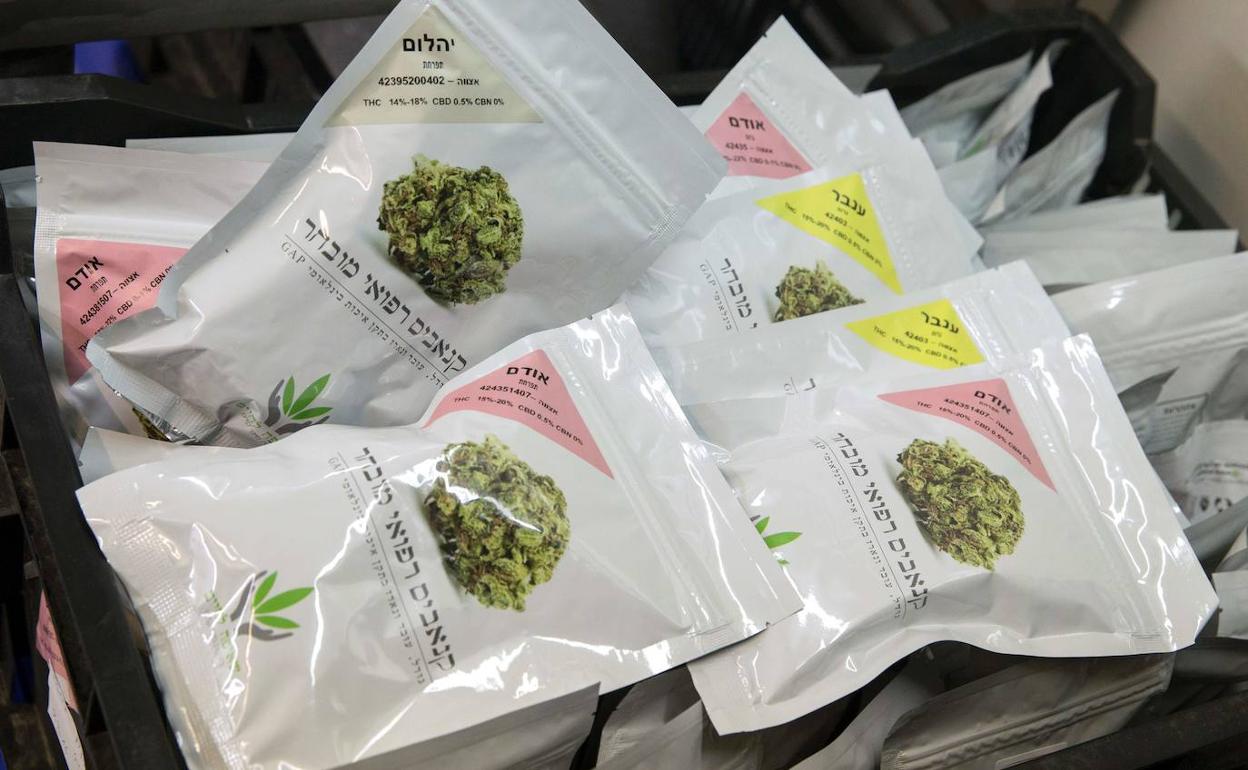 Los responsables de una asociación cannábica de Oviedo se enfrentan a una pena de cinco años de prisión