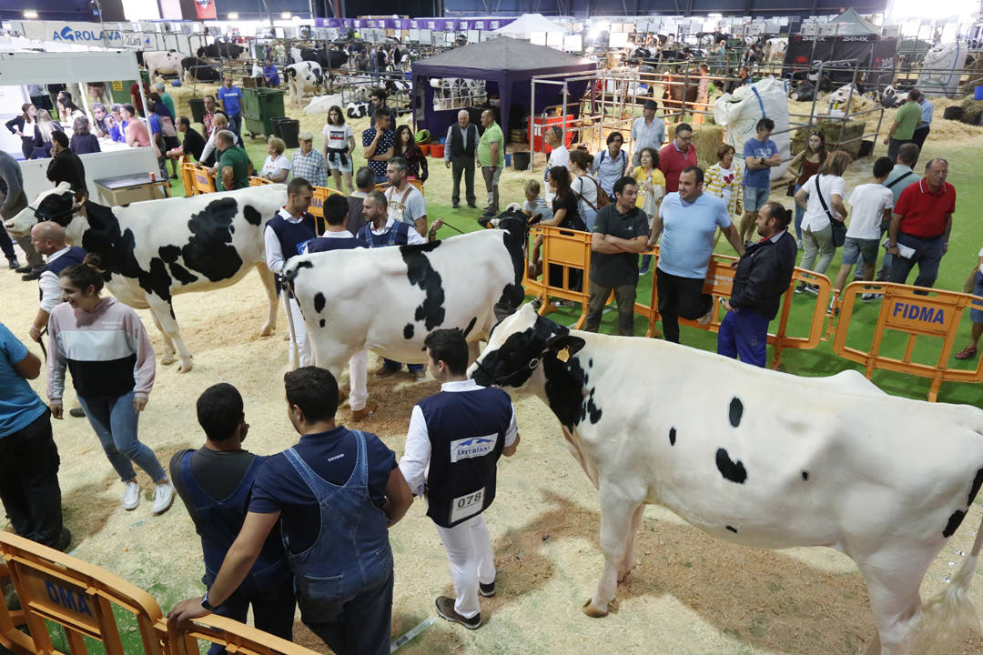 El recinto ferial Luis Adaro de Gijón se ha convertido en el mejor escaparate para los productos del campo asturiano. La agricultura y la ganadería, de ayer y de hoy, están representadas en un certamen atractivo para pequeños y mayores.