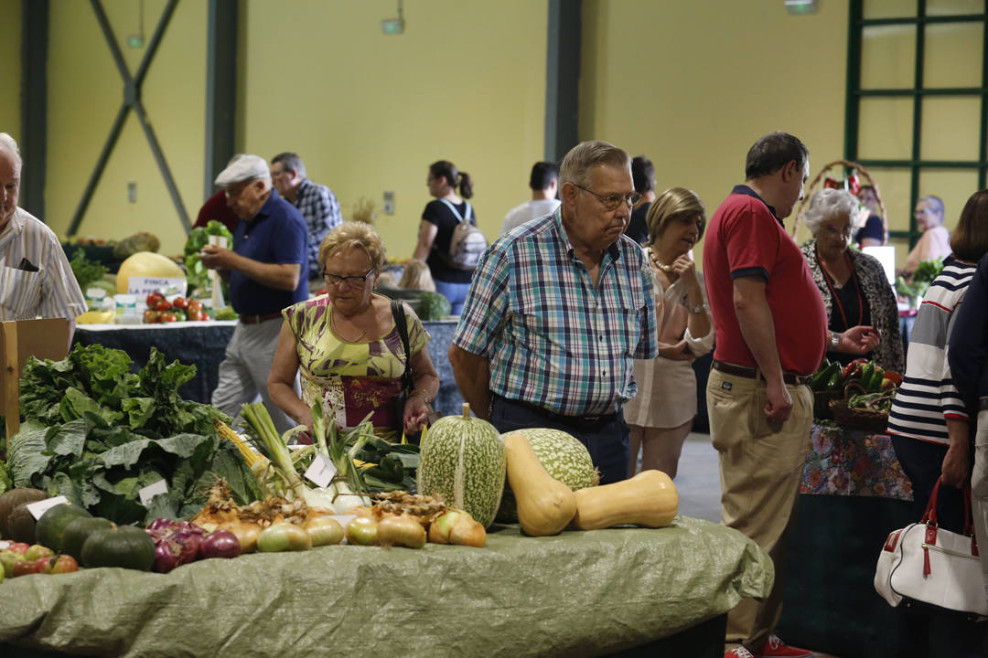 El recinto ferial Luis Adaro de Gijón se ha convertido en el mejor escaparate para los productos del campo asturiano. La agricultura y la ganadería, de ayer y de hoy, están representadas en un certamen atractivo para pequeños y mayores.