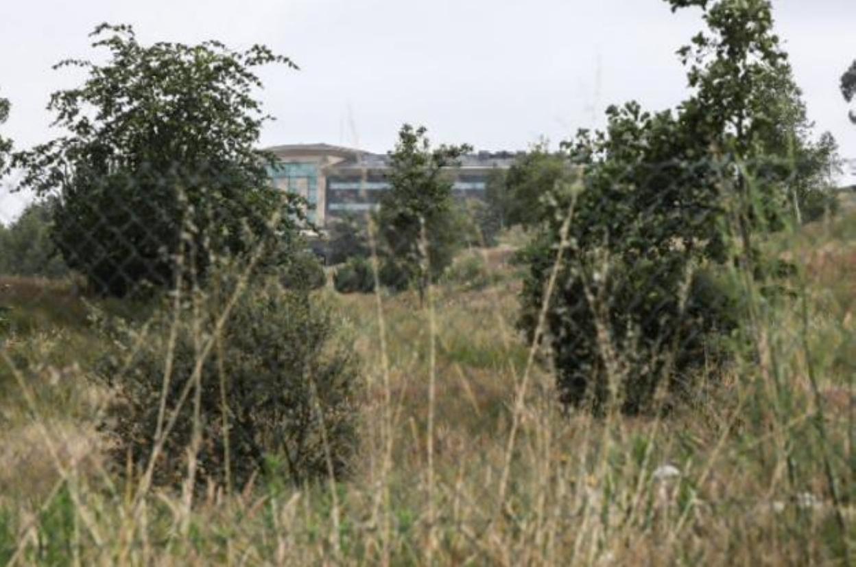 El campo de golf de Los Balagares, lleno de maleza. 