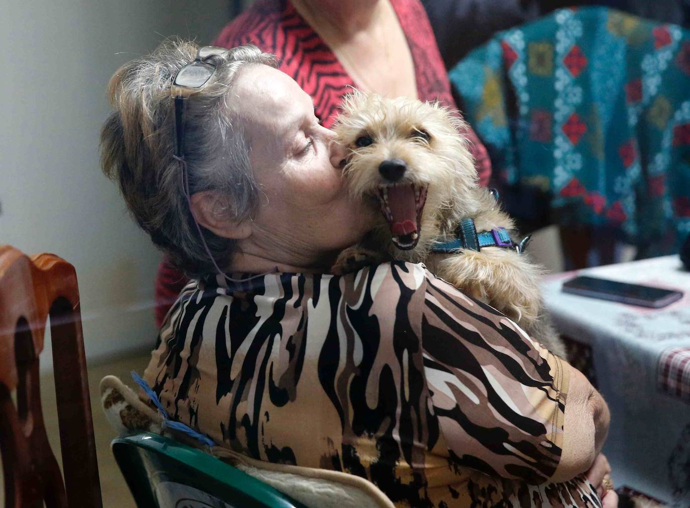 María del Carmen García, vecina del poblado minero de La Camocha, será desahuciada el lunes tras casi 50 años como arrendataria del inmueble. Tras la muerte de se marido, 'Mari', como la conocen en el barrio, asumió el alquiler de un inmueble que compartió durante años junto a sus diez hijos. Lo hizo con la garantía de que esa sería su vivienda de forma vitalicia, tal y como aseguró la empresa a todas las familias del poblado. Sin embargo, tras la quiebra de la mina y la entrada en juego de los administradores concursales, Mari, que ahora cuenta con 75 años, comenzó a recibir hace unos meses varias cartas en las que le comunicaban que por una serie de impagos procederían a su desaolojo.