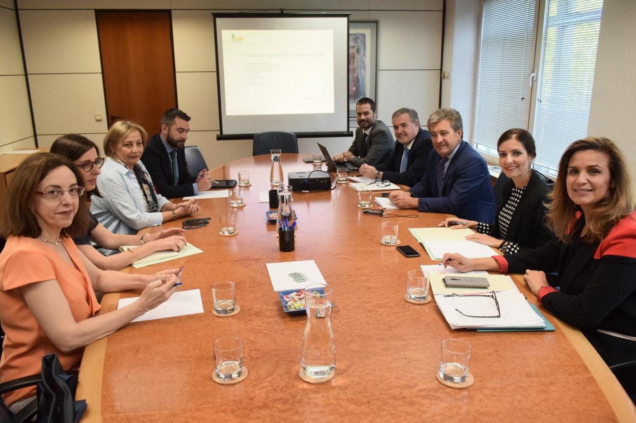 Ayuntamiento y Principado, con Mariví Monteserín y Nieves Roqueñí a la cabeza, se reunieron ayer en Madrid con el presidente de Sepides, Antonio Cervera y su equipo. 