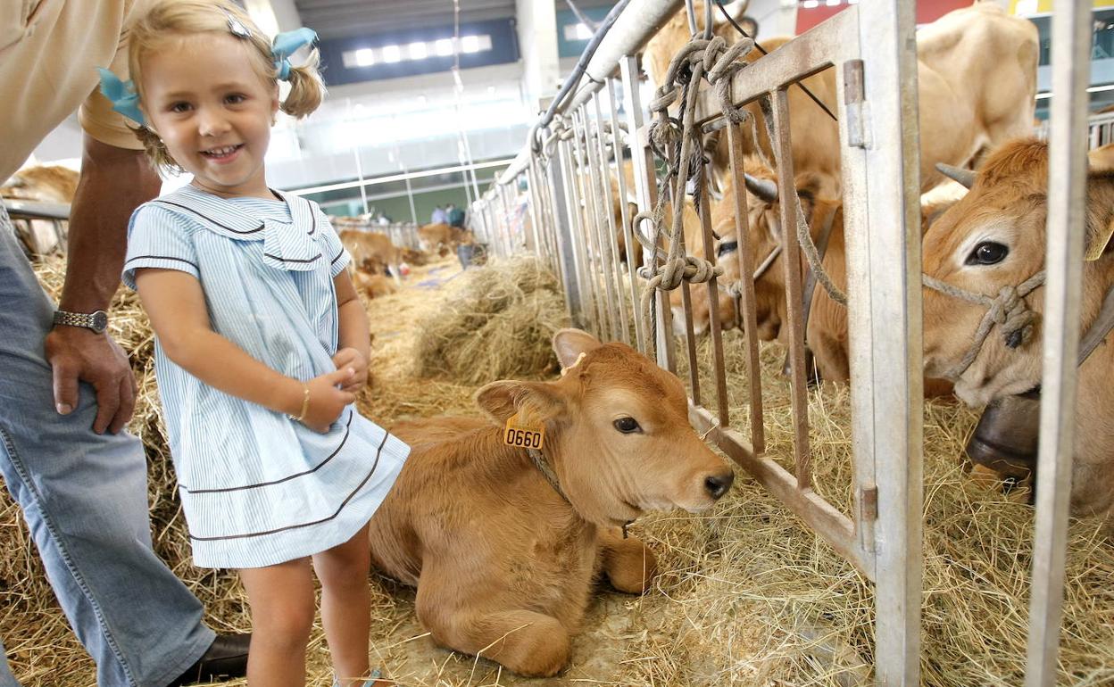 Certamen de Ganado de San Agustín, en Avilés.