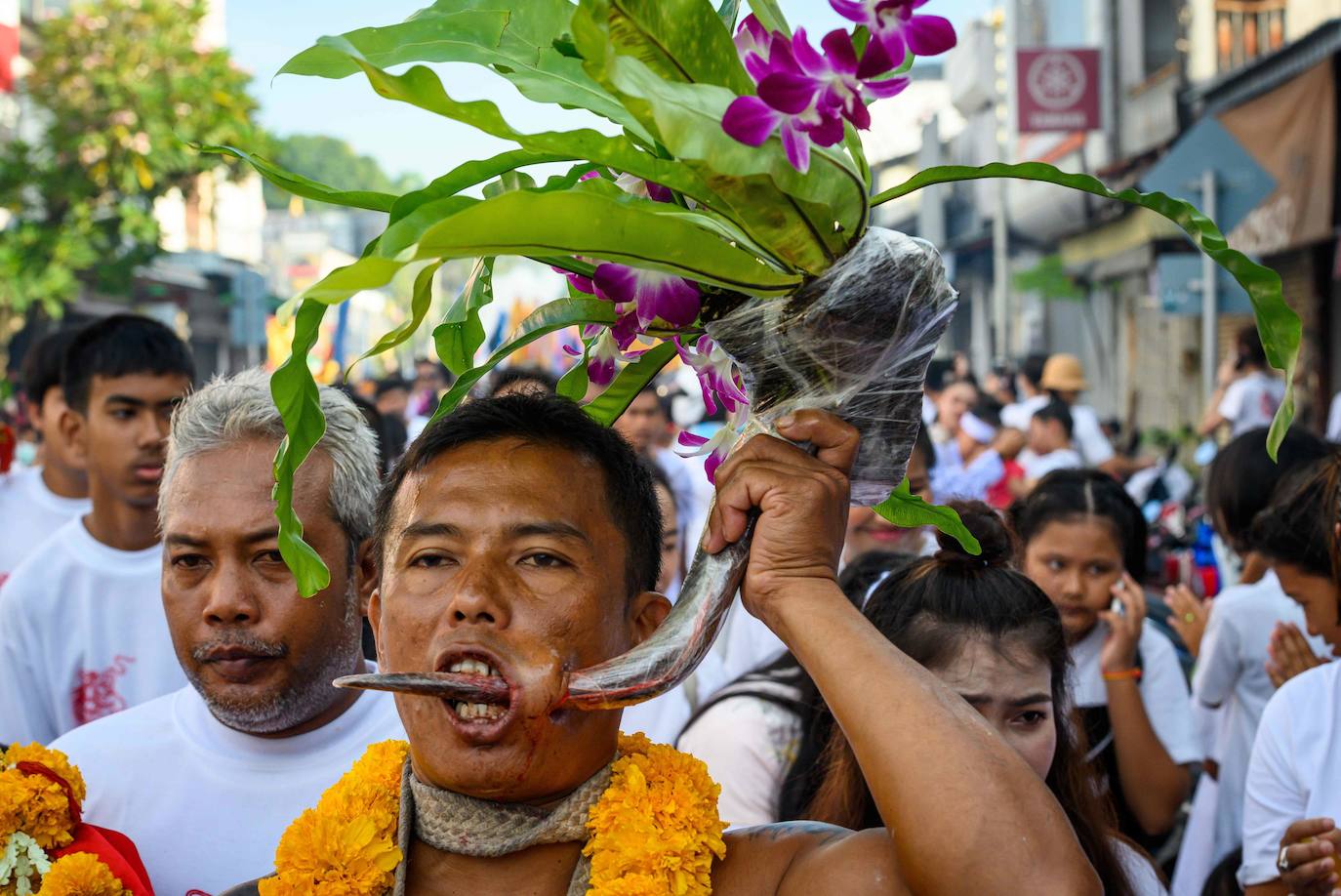 El festival comienza la primera noche del noveno mes lunar y dura nueve días. Los devotos religiosos se cortan con espadas, perforando sus mejillas con objetos afilados y cometiendo otros actos dolorosos para purificarse, asumiendo los pecados de la comunidad. 