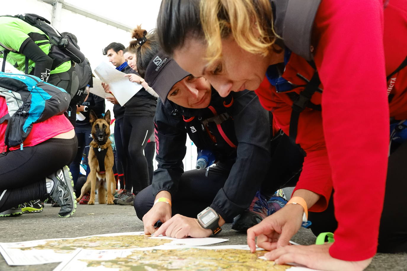 Carrera de orientación que se celebra en Infiesto en diferentes distancias y organizada por el Piloña Deporte