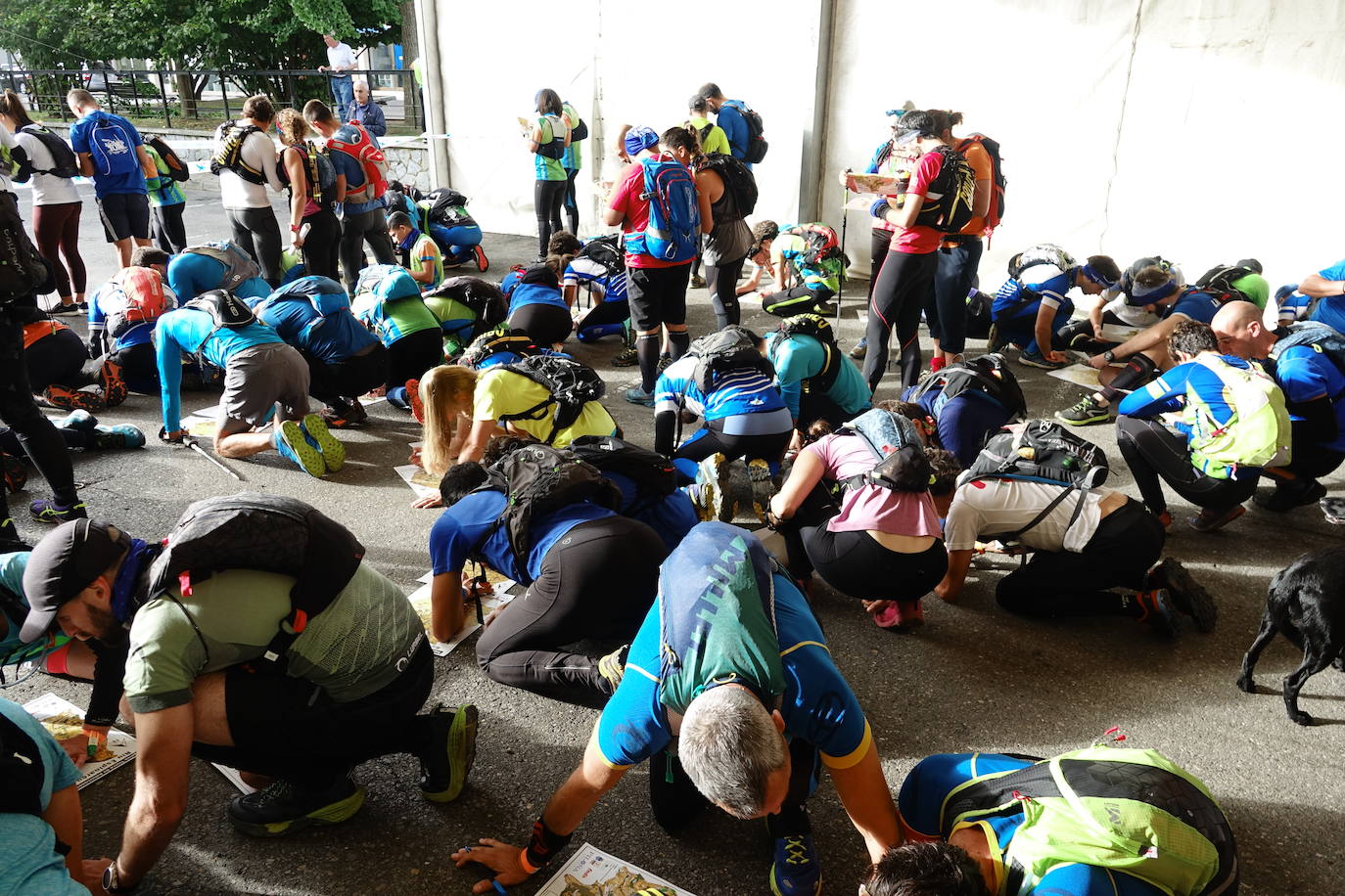 Carrera de orientación que se celebra en Infiesto en diferentes distancias y organizada por el Piloña Deporte